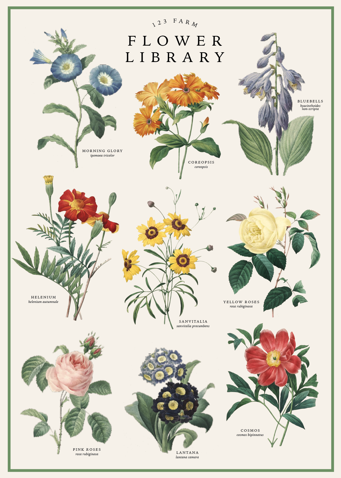 Vintage Posters Wrapping Paper - Flower Library