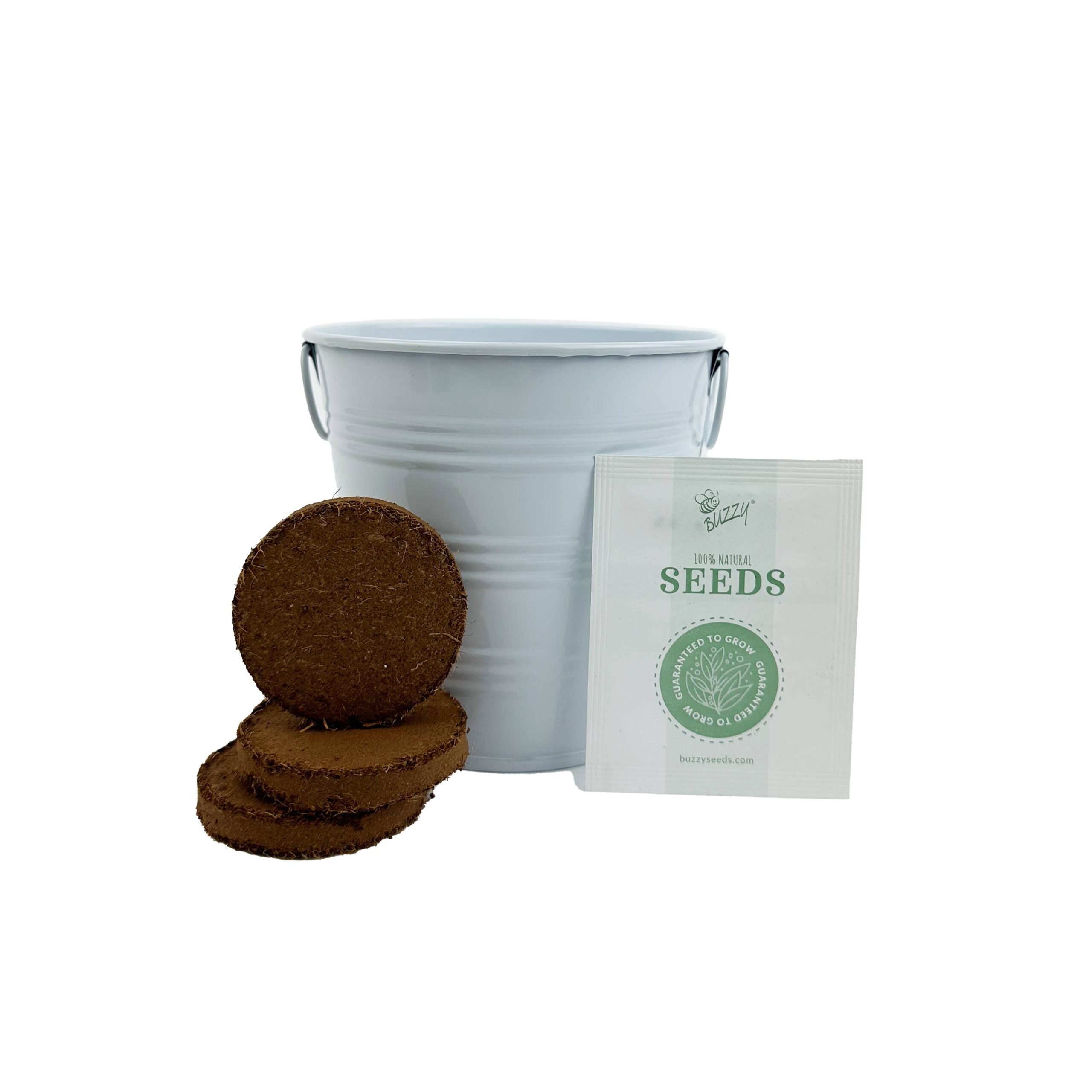 Painted Flower Grow Pail - Forget-Me-Not Grow Kit