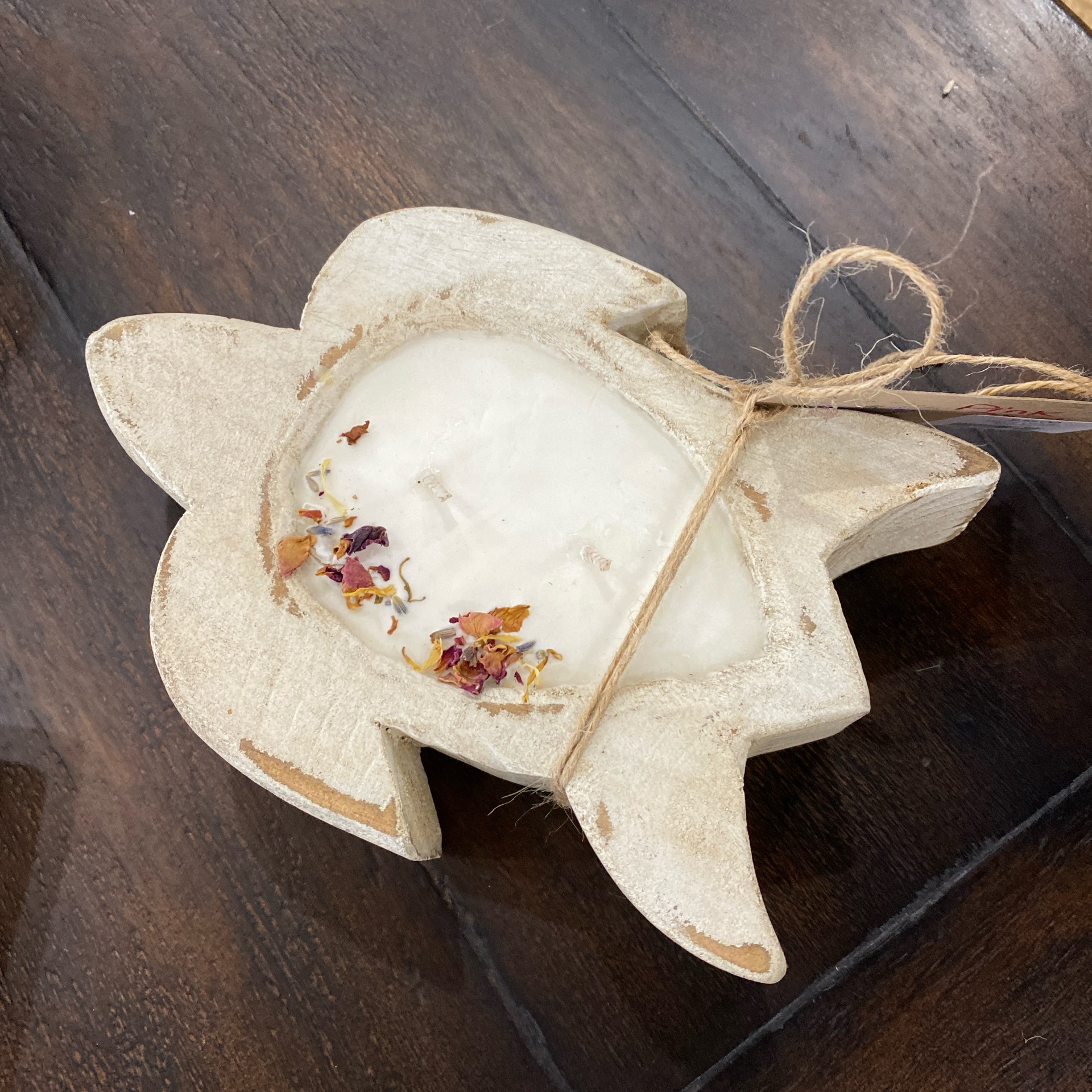 Turtle Candle