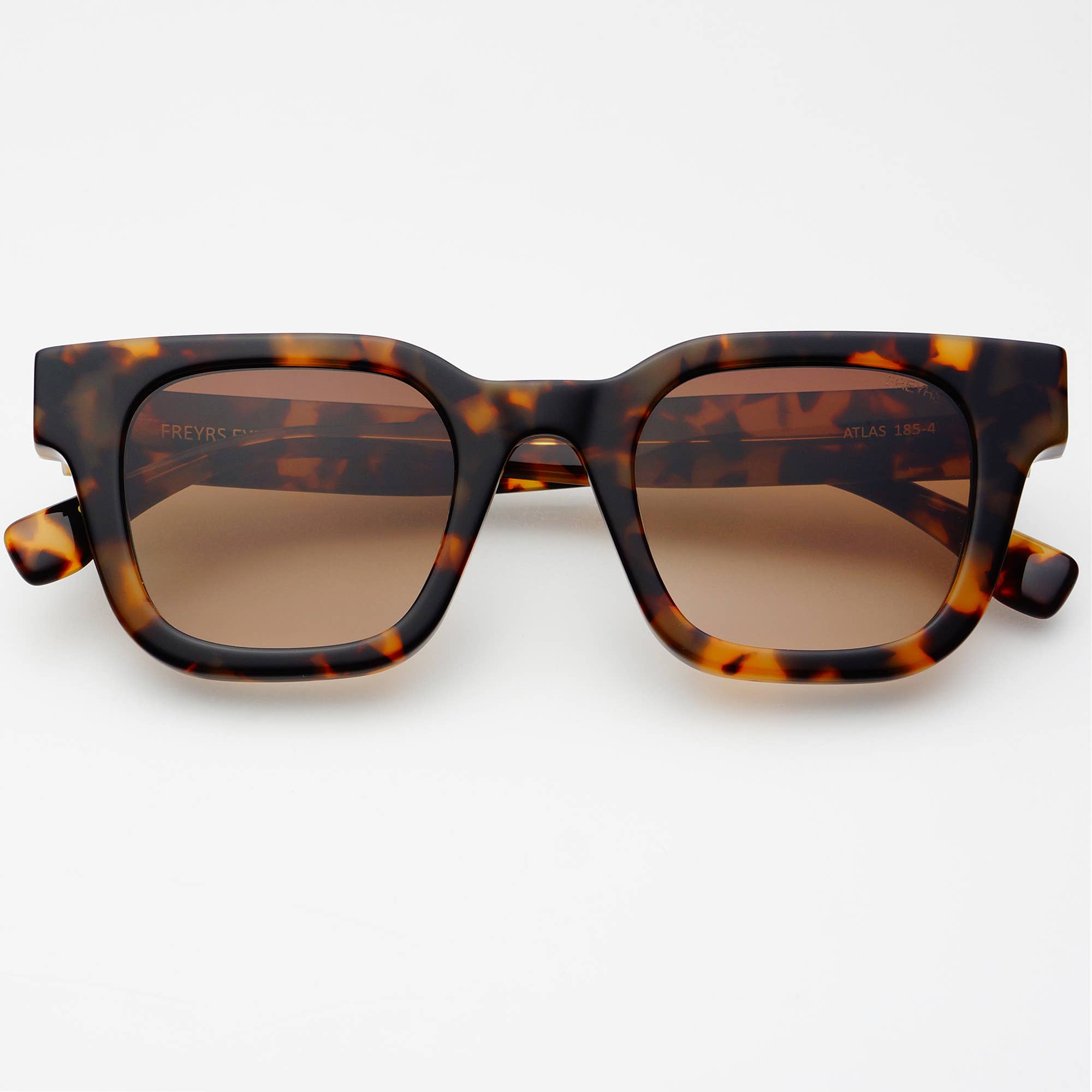 Atlas Acetate Rectangular Sunglasses : Tortoise / Brown