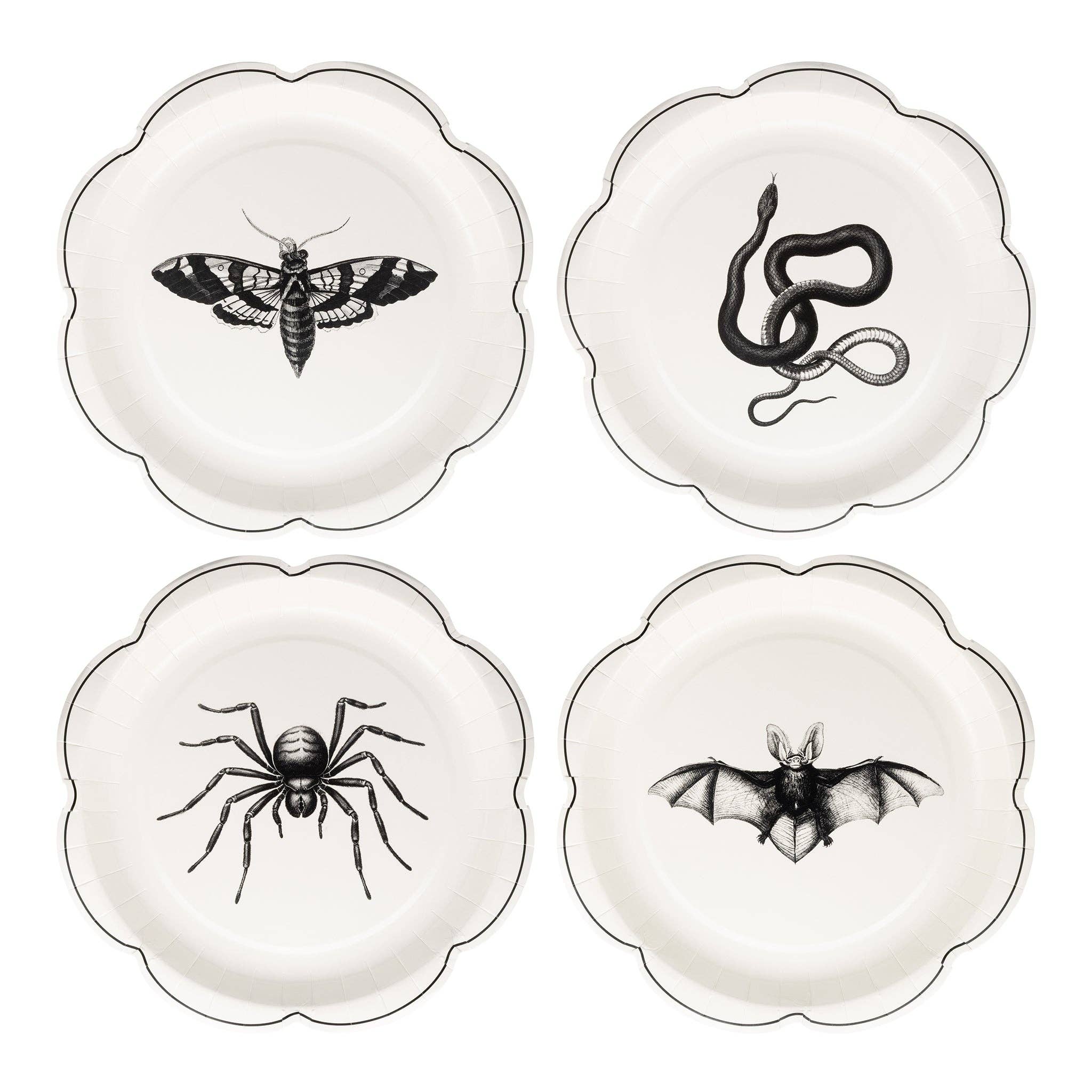 Apothecary Paper Plate Set