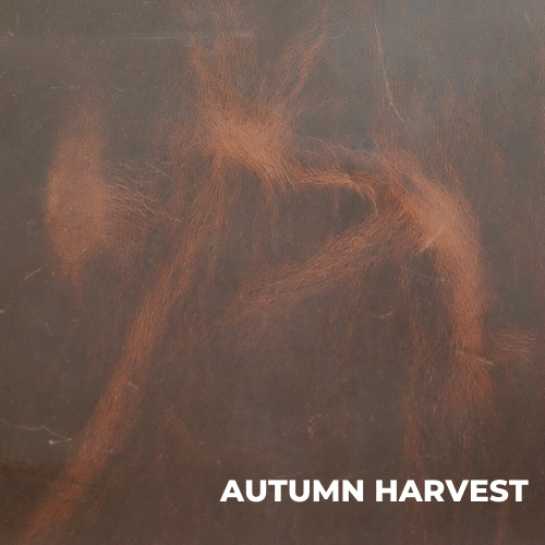 The Brunswick Mini Journal: Autumn Harvest