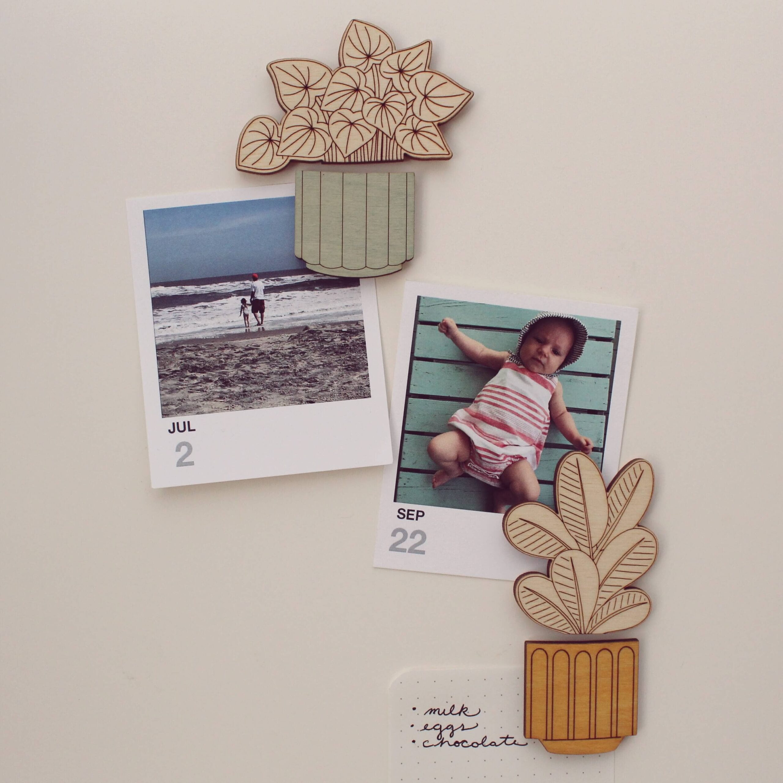 Wood House Plant Magnets | Alocasia Polly | Plant Lover Gift - Image 5