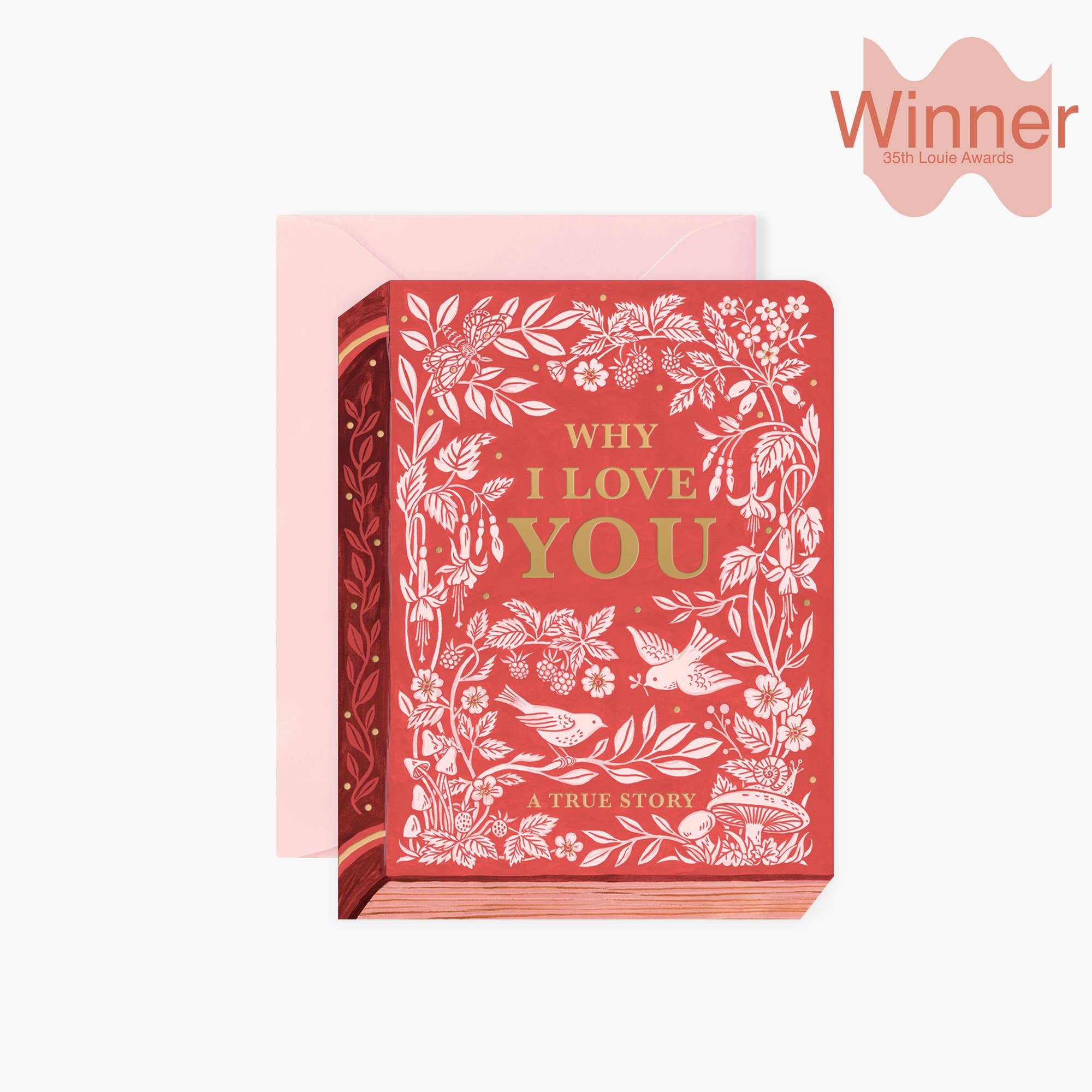 WHY I LOVE YOU "BOOK" | Valentine's Day greeting card