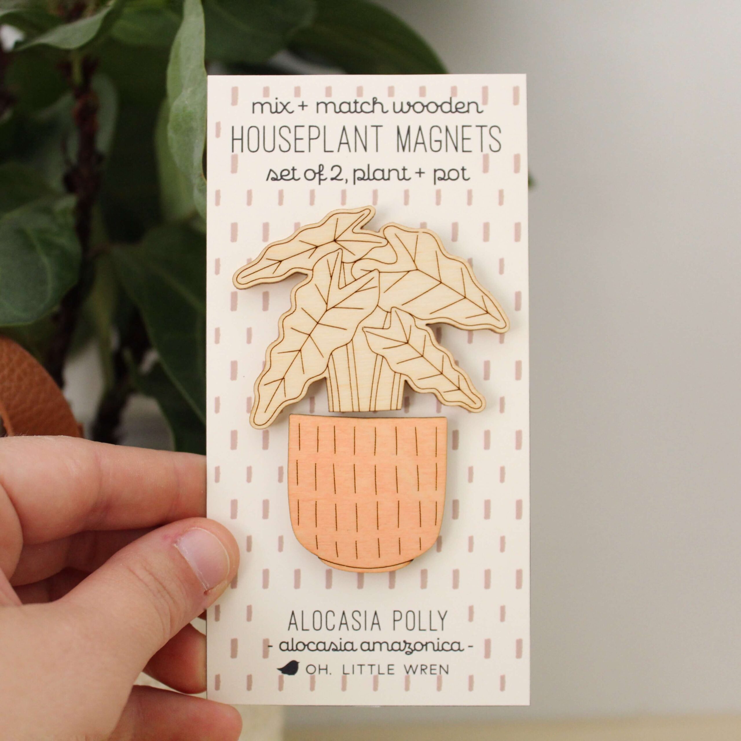 Wood House Plant Magnets | Alocasia Polly | Plant Lover Gift - Image 2