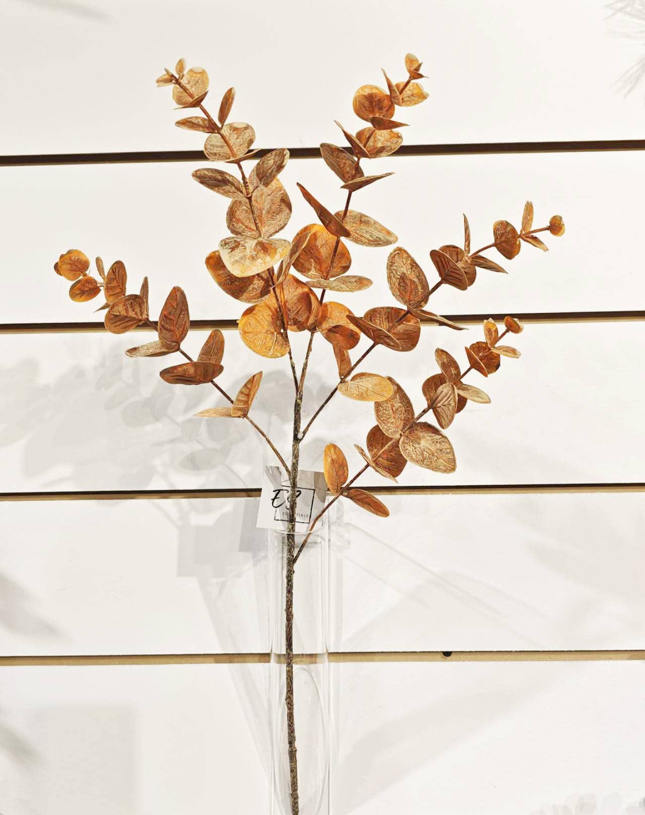 ES Essentials - Eucalyptus Spray X5 24.5" Orange/Brown