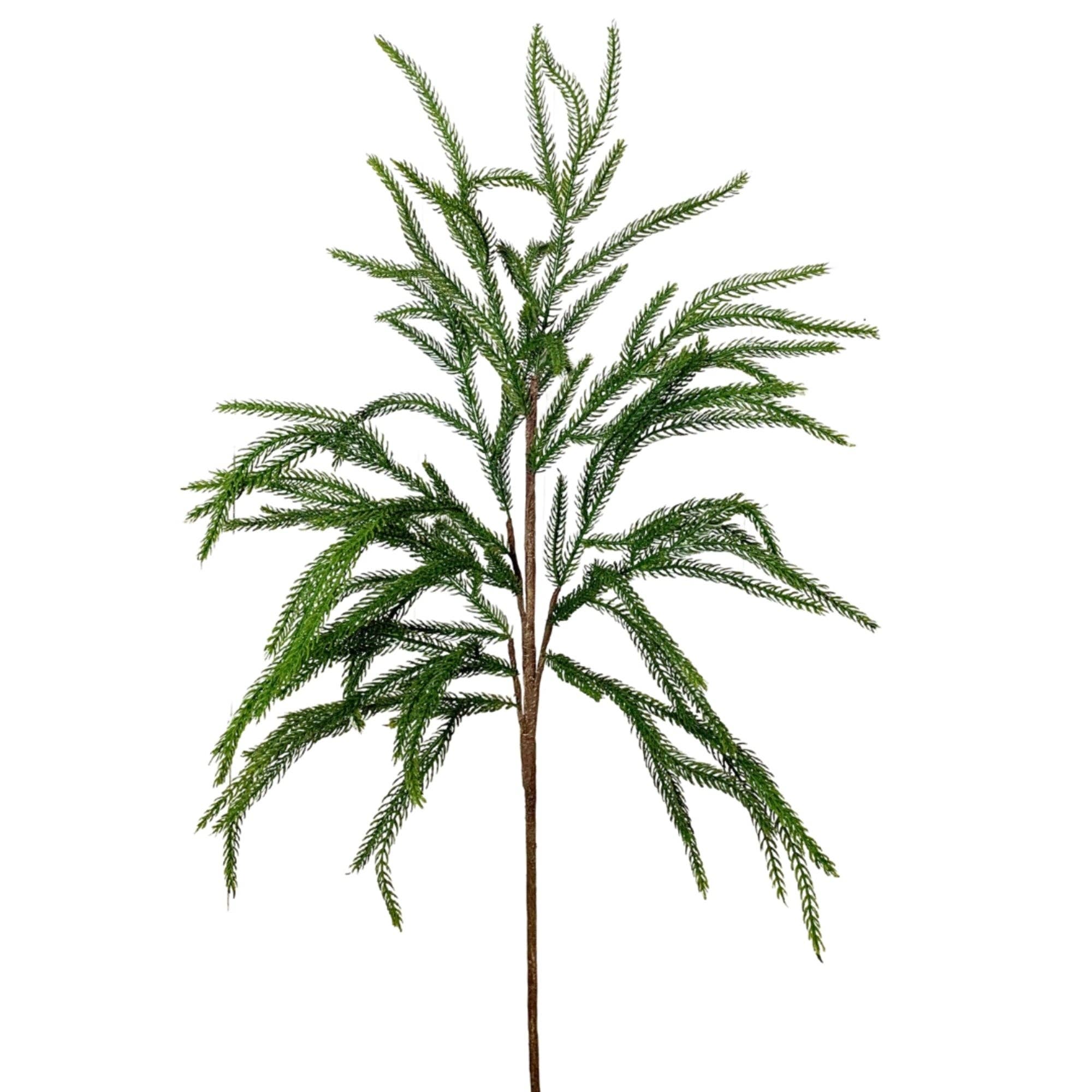 Wispy Real Touch Norfolk Pine Spray 37"