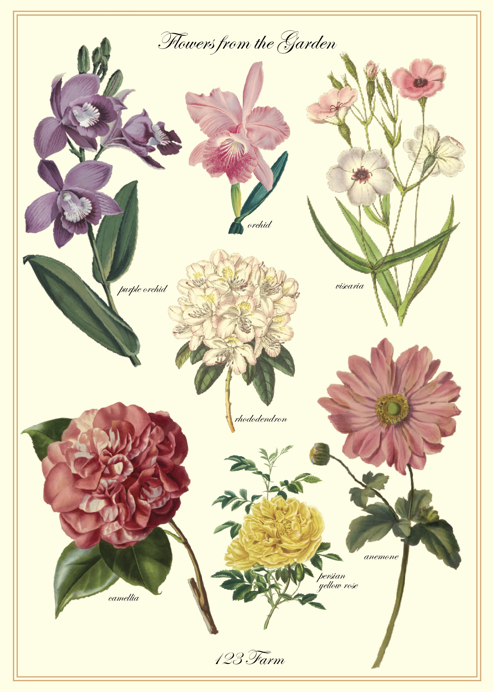 Vintage Posters Wrapping Paper - Flowers from the Garden