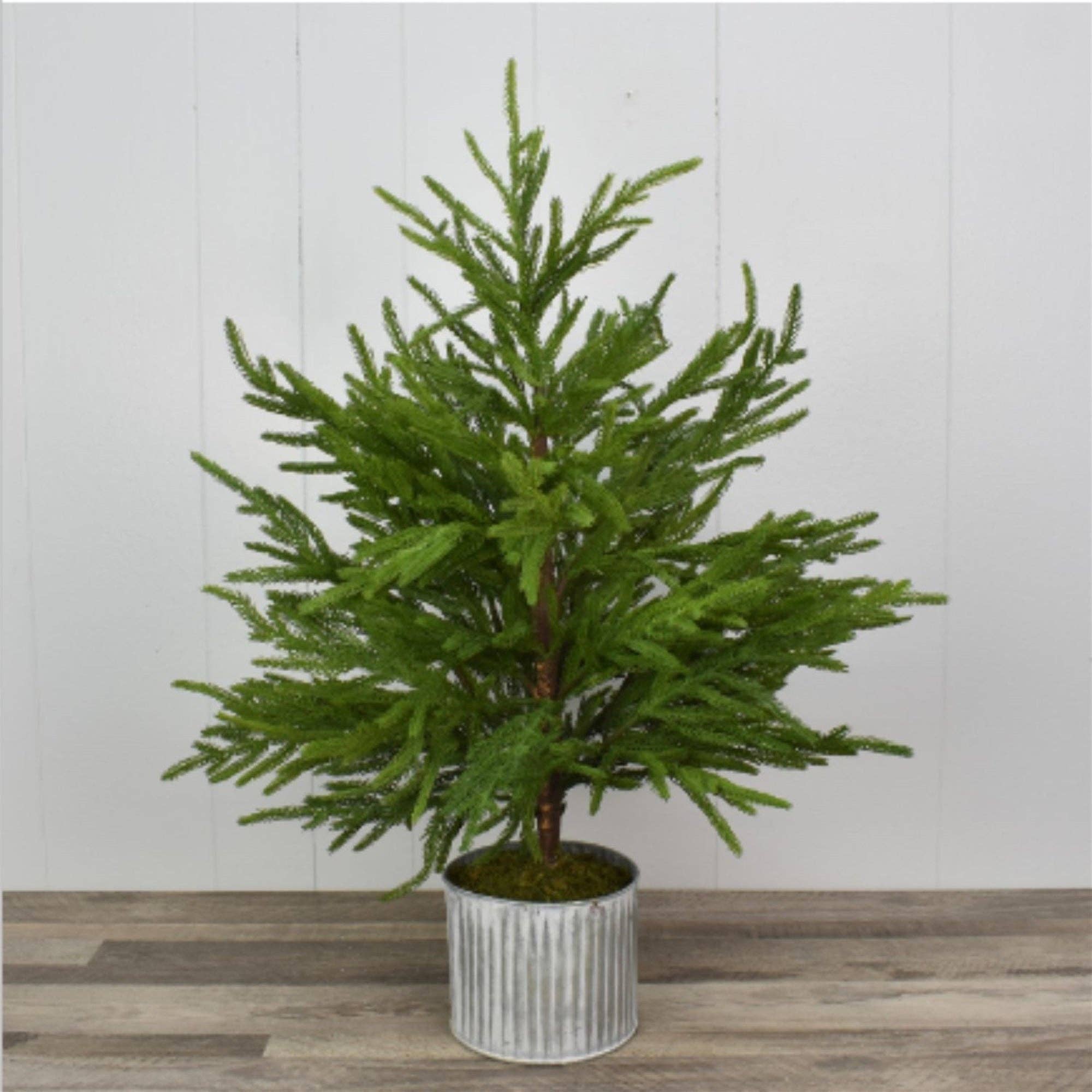 28” Norfolk Pine Tree In Galvanized Whitewash Pot