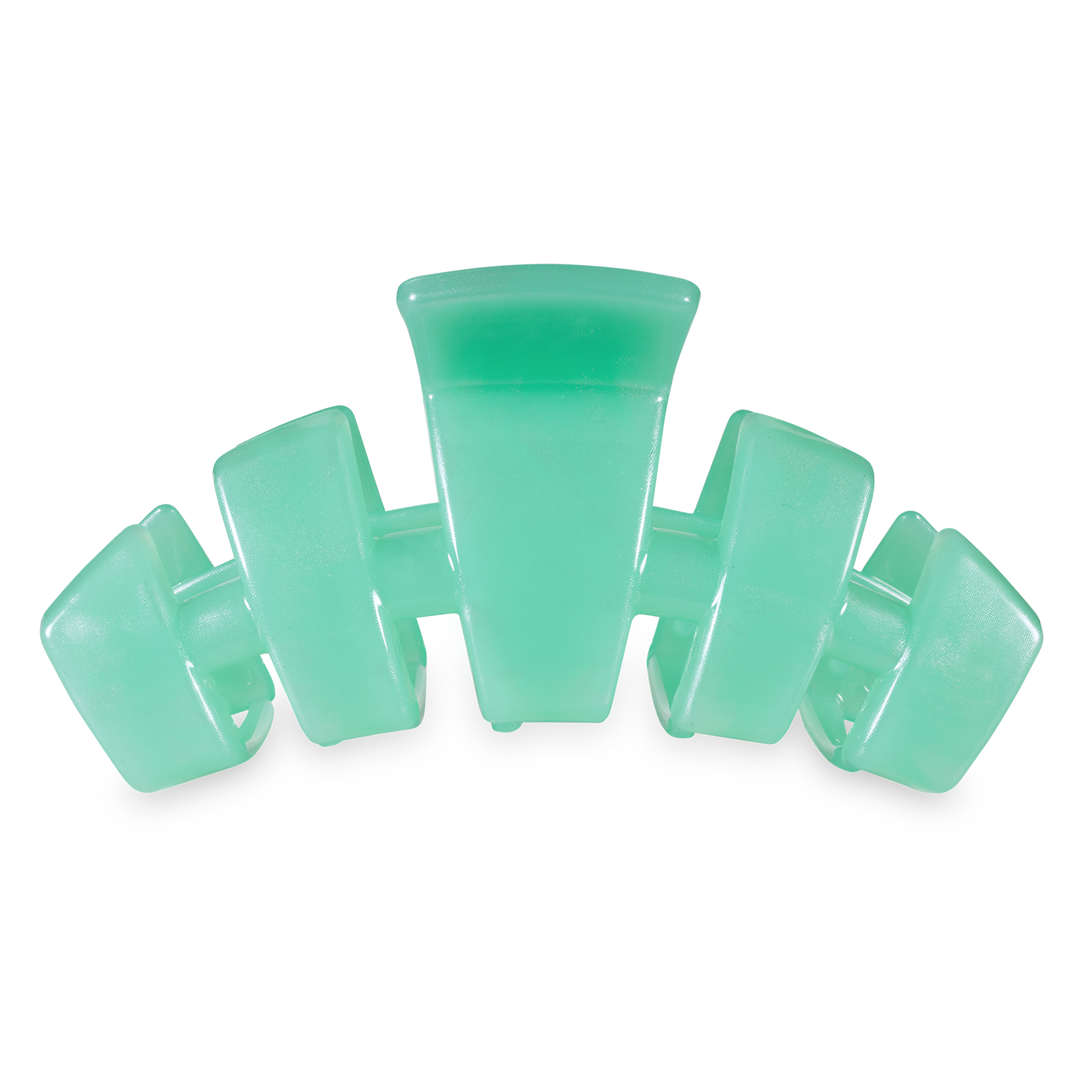 Classic Hair Clip | Large | Spring Splash